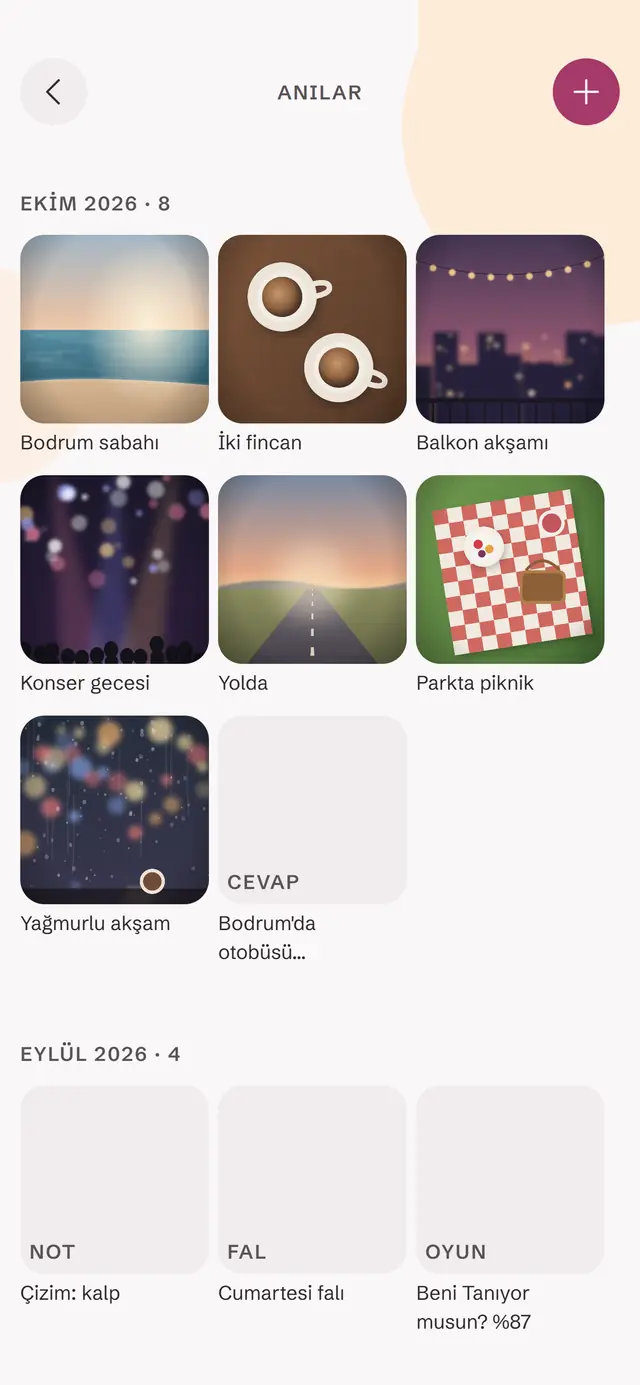 Anılar ekranı: fotoğraflar ve kayıtlar ay ay dizilmiş