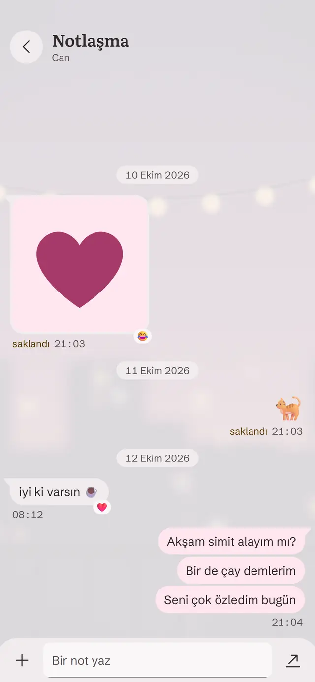 Notlaşma ekranı: sohbet gibi küçük notlar ve bir kalp